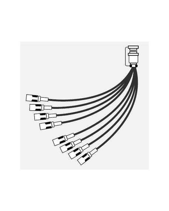 Canare - 8S2N1 - 8CH FANTAIL 1.5M from CANARE with reference 8S2N1 at the low price of 199.08. Product features:  