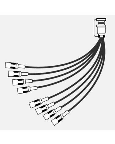 Canare - 8S2N1 - 8CH FANTAIL 1.5M from CANARE with reference 8S2N1 at the low price of 199.08. Product features:  