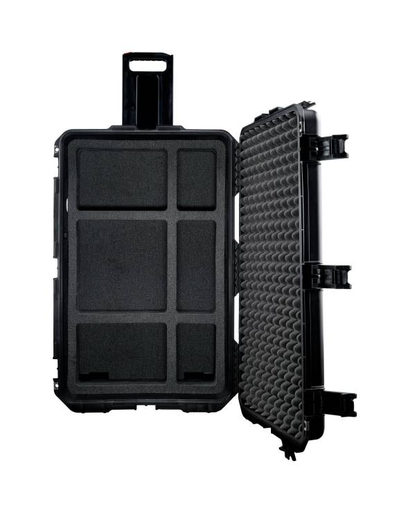 Small HD Custom Case for Vision 17 Monitor (wheeled)